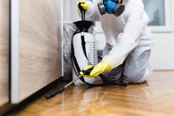 Best Best Pest Control Companies  in Kaumakani, HI