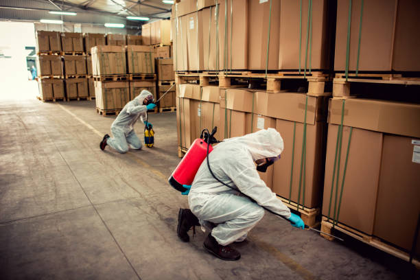 Best Affordable Pest Control Services  in Kaumakani, HI