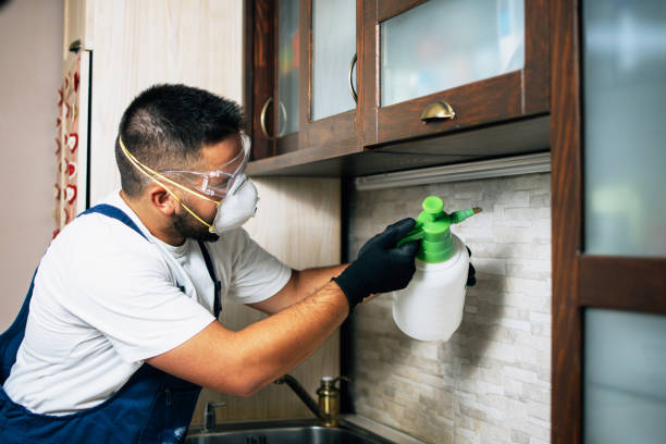 Pest Control for Restaurants in Kaumakani, HI
