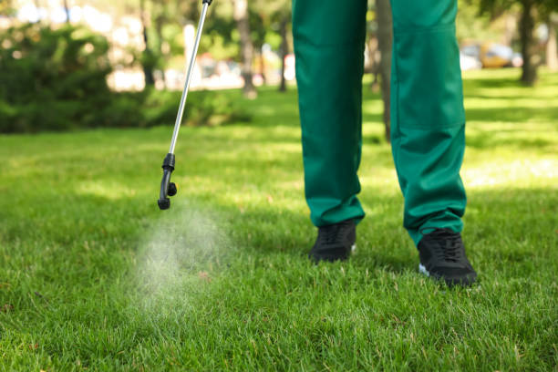 Best Wasp Removal Services  in Kaumakani, HI