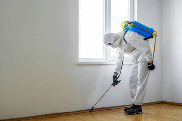 Best Cockroach Control Services  in Kaumakani, HI