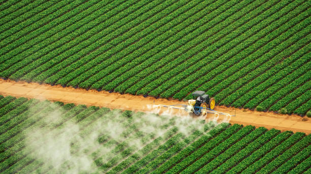 Best Mosquito Control Services  in Kaumakani, HI