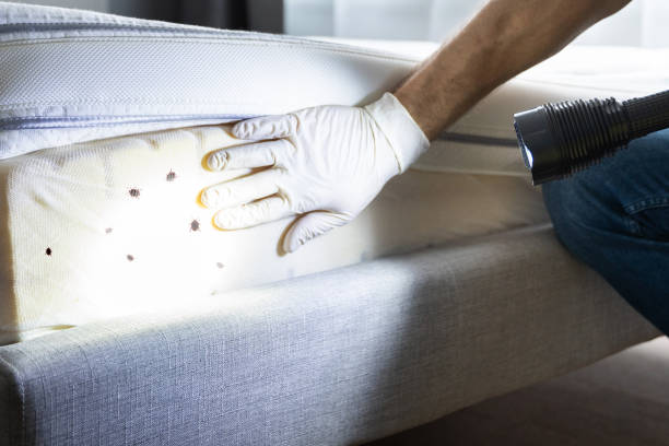 Best Best Pest Control Companies  in Kaumakani, HI