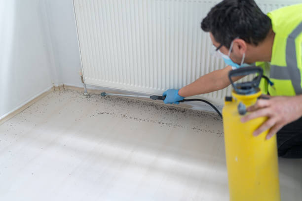 Best Commercial Pest Control Services  in Kaumakani, HI